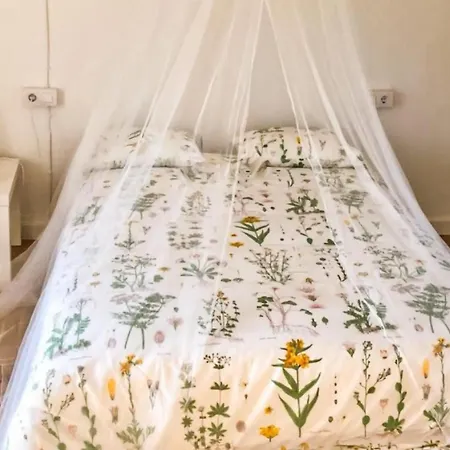 Apartment 3 Bedroom Cozy In Ortigueira O Porto de Espasante